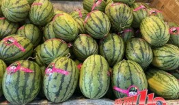 南京大瓜爆料视频大全,独家爆料大全汇总